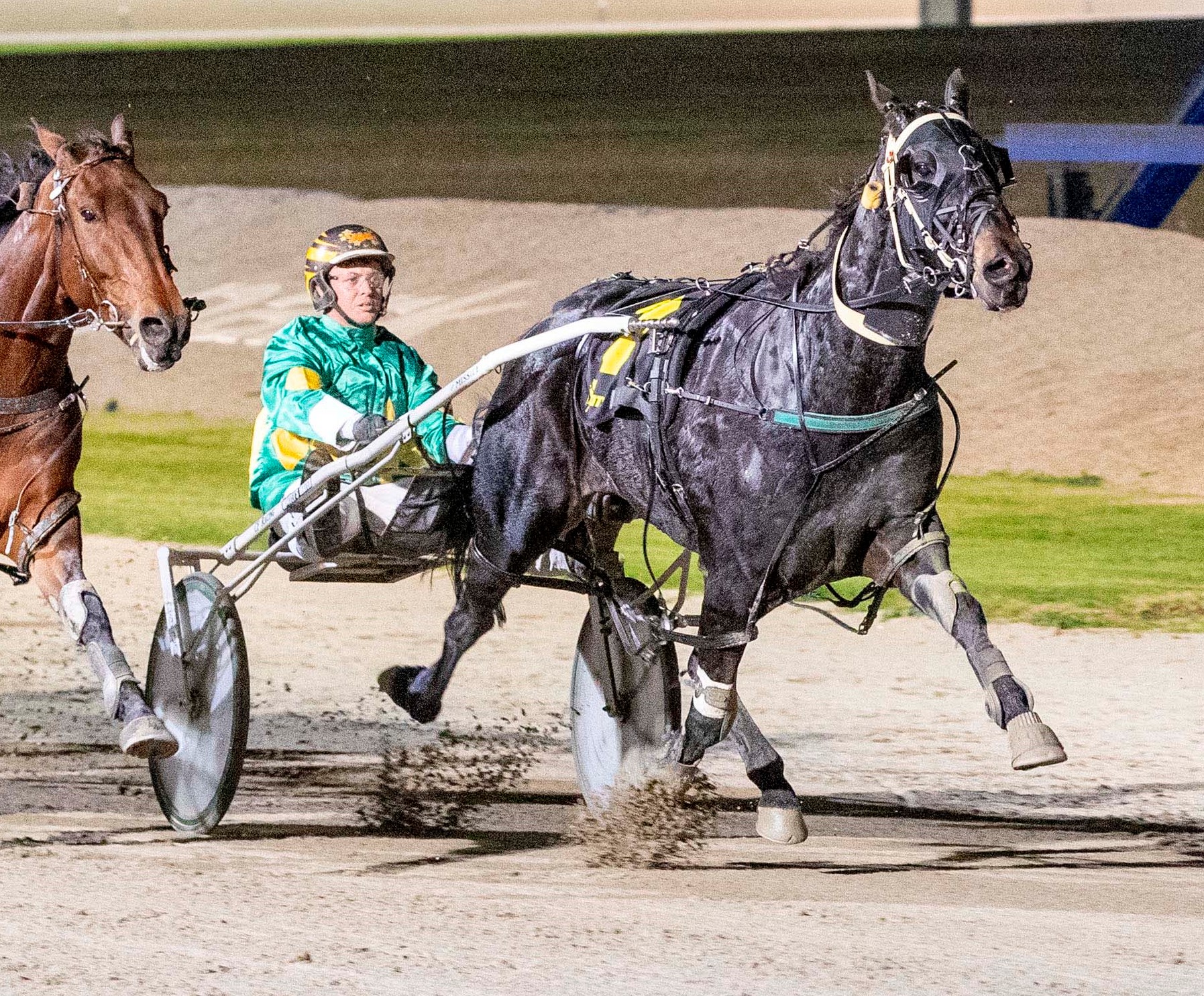 Bonnington Dodge looms as a 'Dan' good horse Harness Racing Victoria